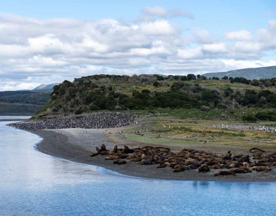 Canal de Beagle